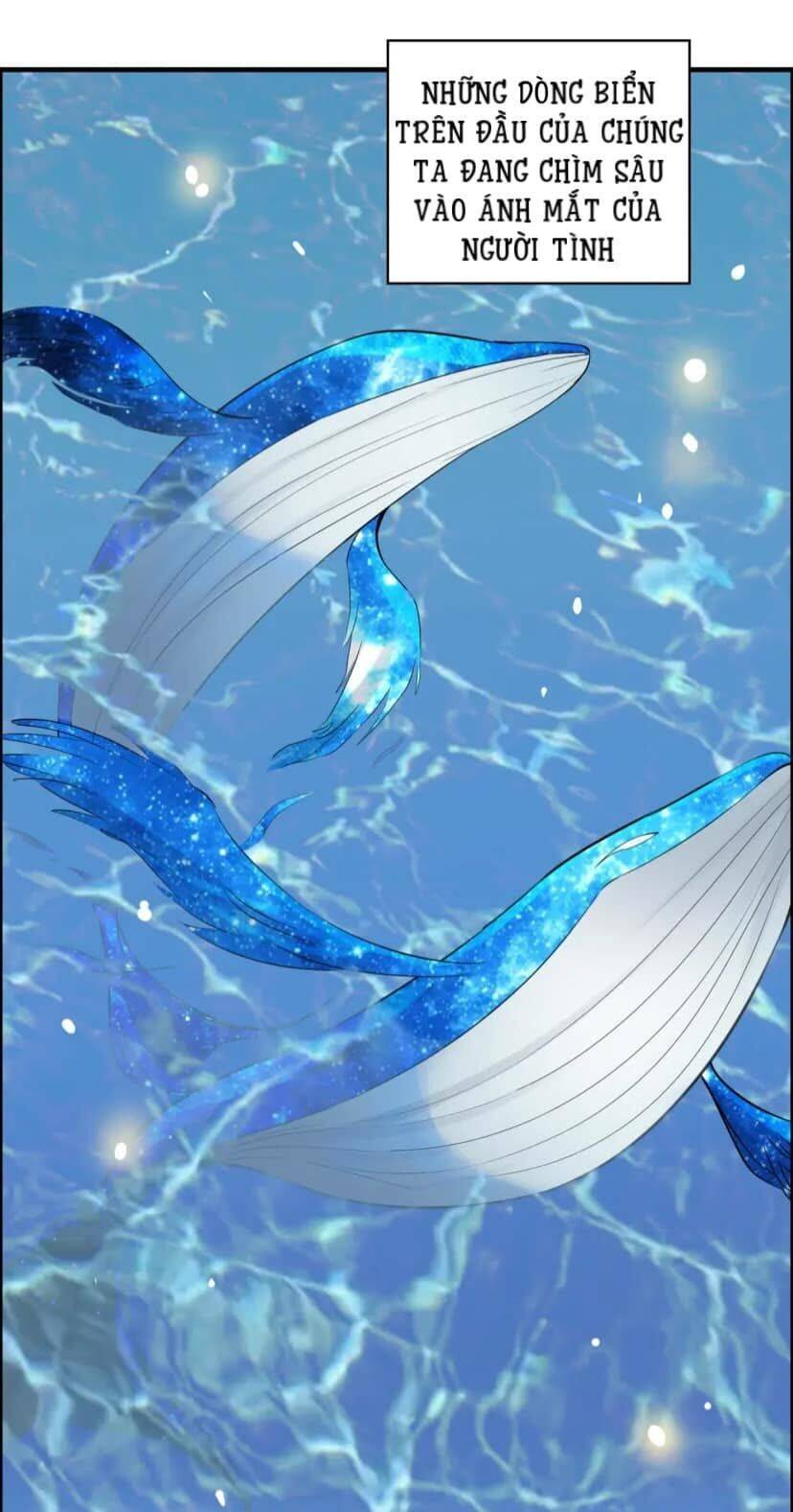 Cô Vợ Hợp Đồng Bỏ Trốn Của Tổng Giám Đốc Chapter 389.5 - 15