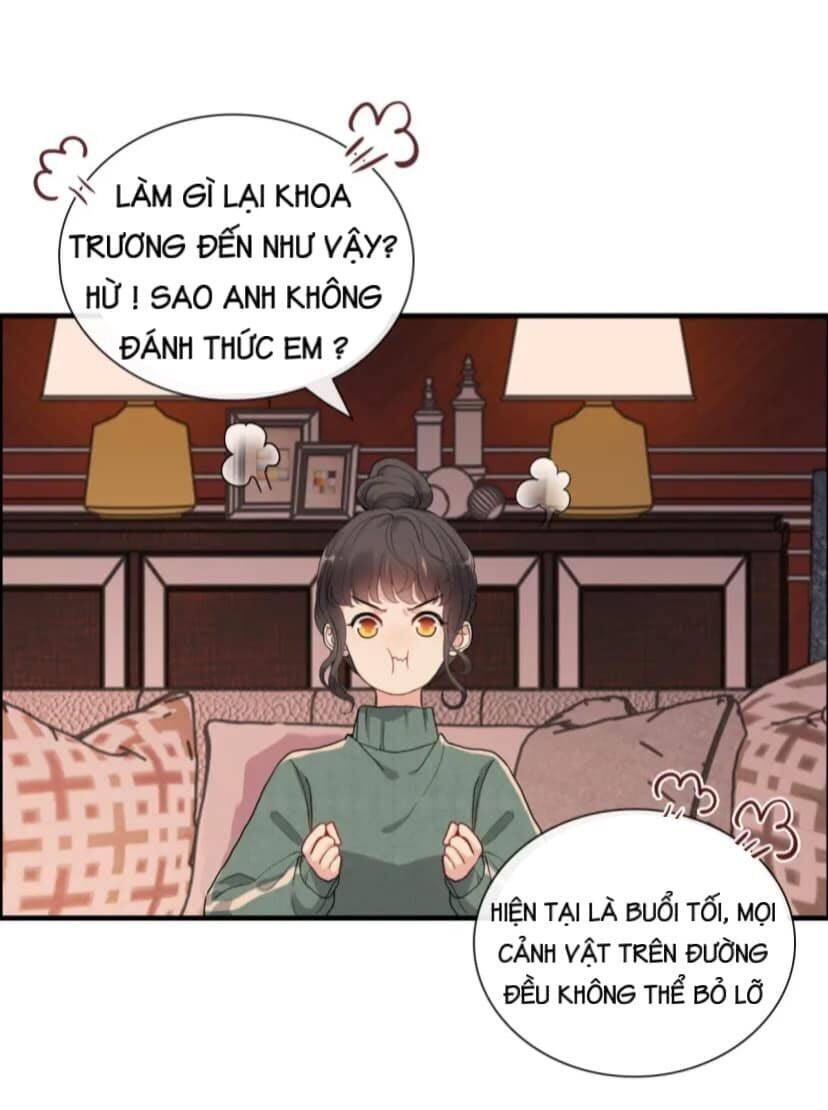 Cô Vợ Hợp Đồng Bỏ Trốn Của Tổng Giám Đốc Chapter 393 - 13