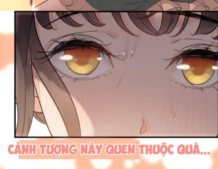 Cô Vợ Hợp Đồng Bỏ Trốn Của Tổng Giám Đốc Chapter 394 - 10