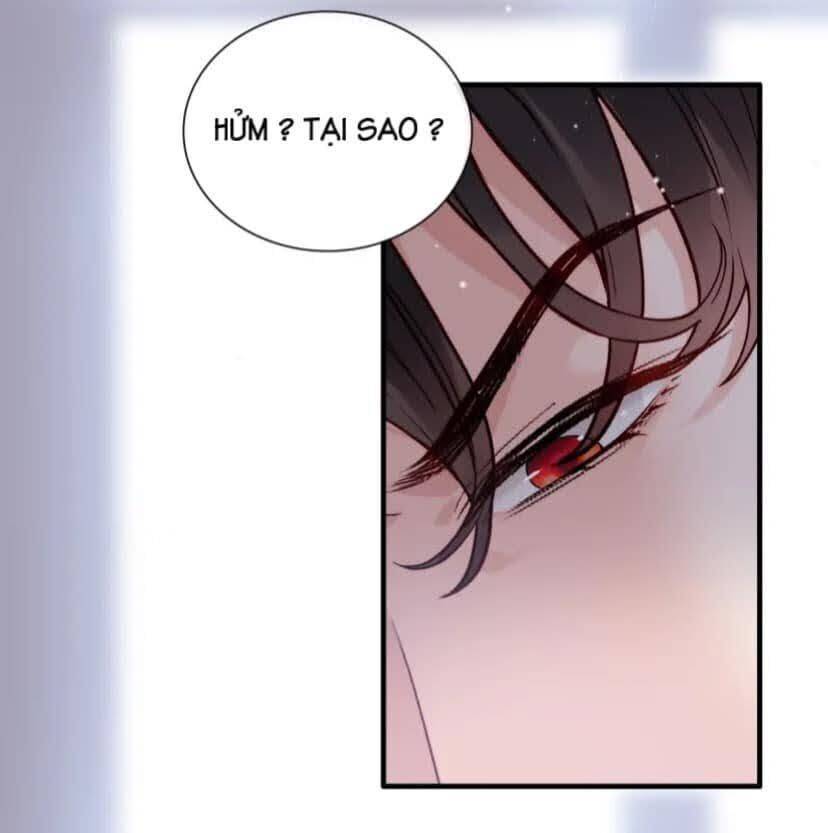 Cô Vợ Hợp Đồng Bỏ Trốn Của Tổng Giám Đốc Chapter 395.5 - 11