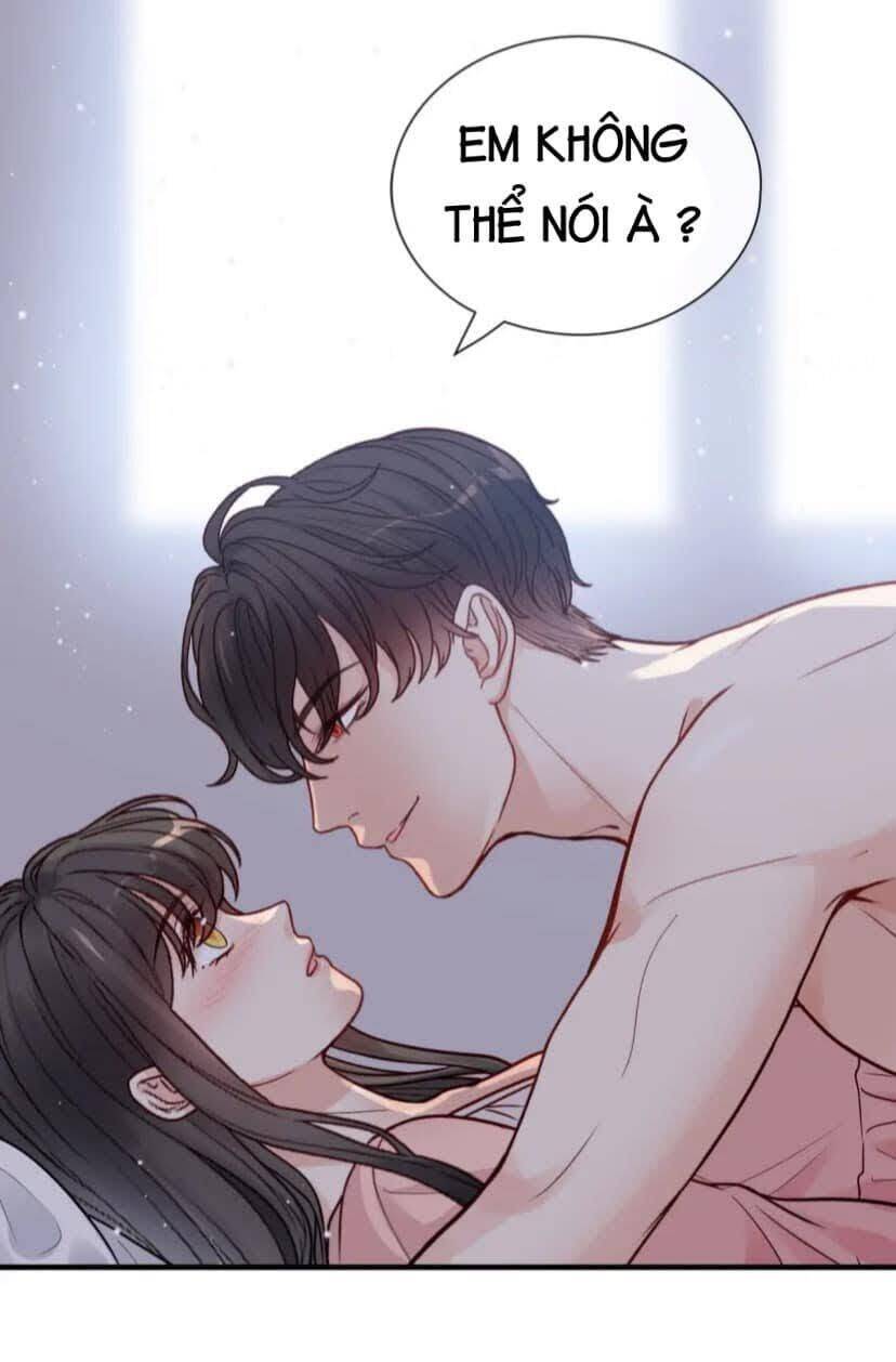 Cô Vợ Hợp Đồng Bỏ Trốn Của Tổng Giám Đốc Chapter 395.5 - 12