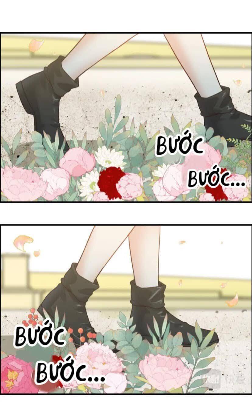 Cô Vợ Hợp Đồng Bỏ Trốn Của Tổng Giám Đốc Chapter 396 - 18
