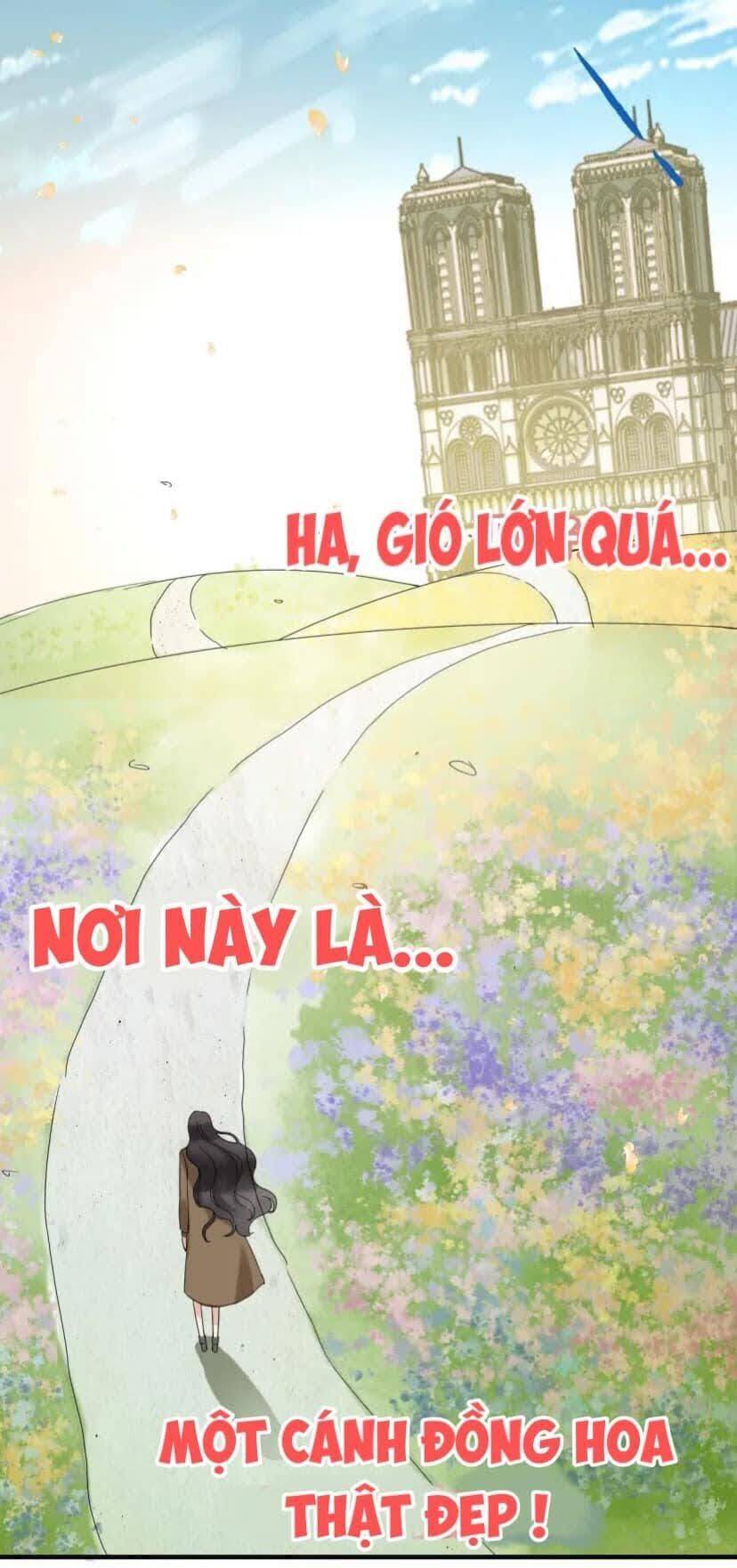 Cô Vợ Hợp Đồng Bỏ Trốn Của Tổng Giám Đốc Chapter 396 - 9