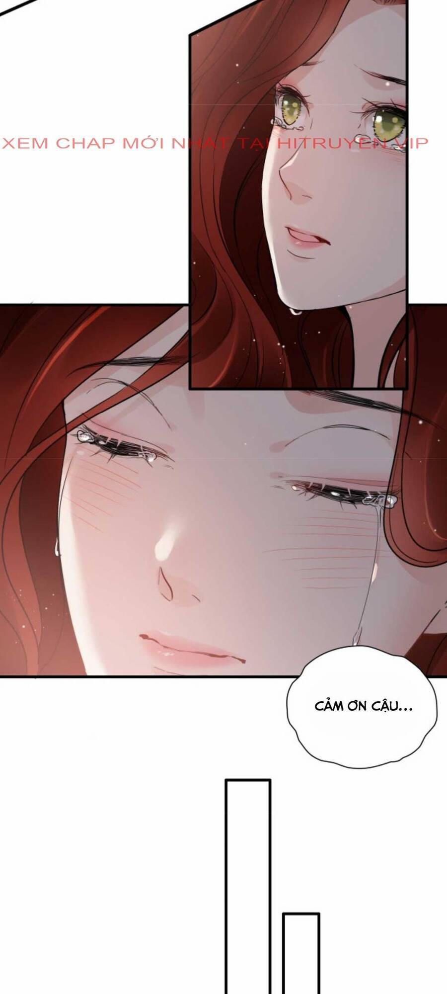 Cô Vợ Hợp Đồng Bỏ Trốn Của Tổng Giám Đốc Chapter 431.2 - 15