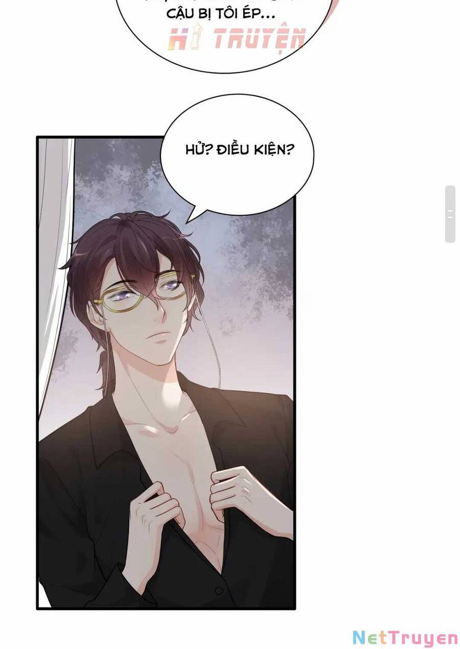 Cô Vợ Hợp Đồng Bỏ Trốn Của Tổng Giám Đốc Chapter 434.1 - 11