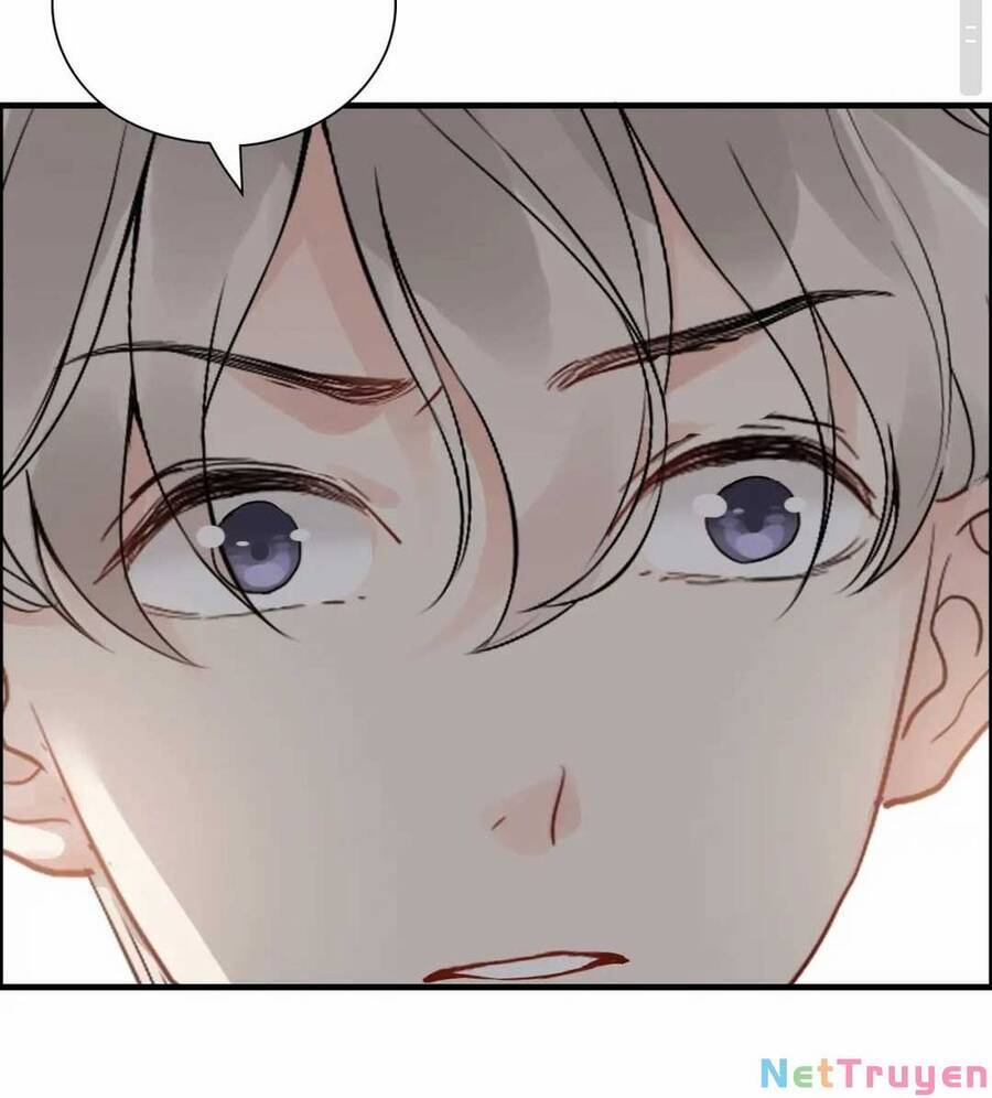 Cô Vợ Hợp Đồng Bỏ Trốn Của Tổng Giám Đốc Chapter 435.2 - 3