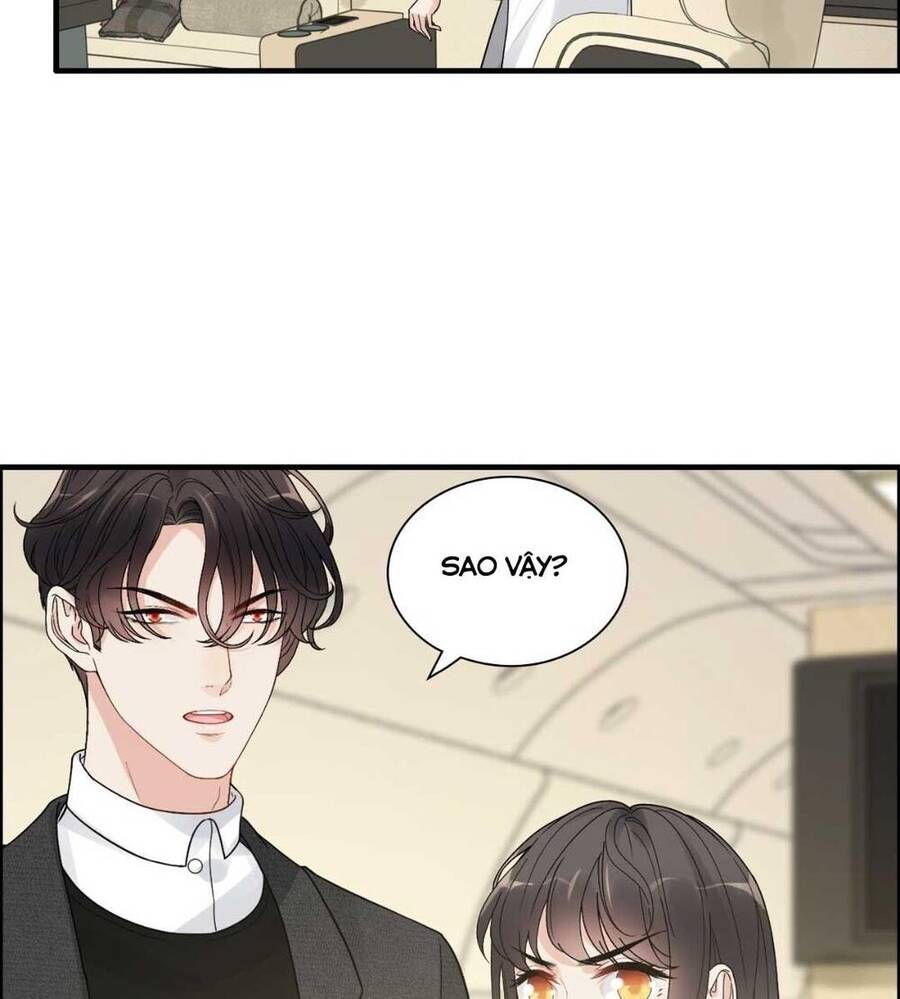 Cô Vợ Hợp Đồng Bỏ Trốn Của Tổng Giám Đốc Chapter 440.1 - 8