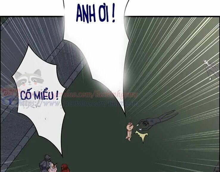 Cô Vợ Hợp Đồng Bỏ Trốn Của Tổng Giám Đốc Chapter 313 - 11