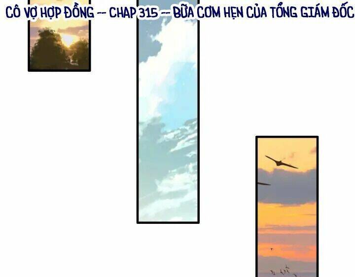 Cô Vợ Hợp Đồng Bỏ Trốn Của Tổng Giám Đốc Chapter 315 - 5