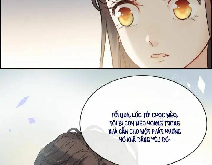 Cô Vợ Hợp Đồng Bỏ Trốn Của Tổng Giám Đốc Chapter 315 - 81