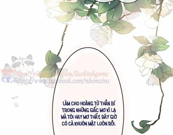 Cô Vợ Hợp Đồng Bỏ Trốn Của Tổng Giám Đốc Chapter 316 - 19