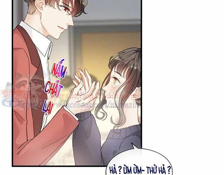 Cô Vợ Hợp Đồng Bỏ Trốn Của Tổng Giám Đốc Chapter 316 - 88