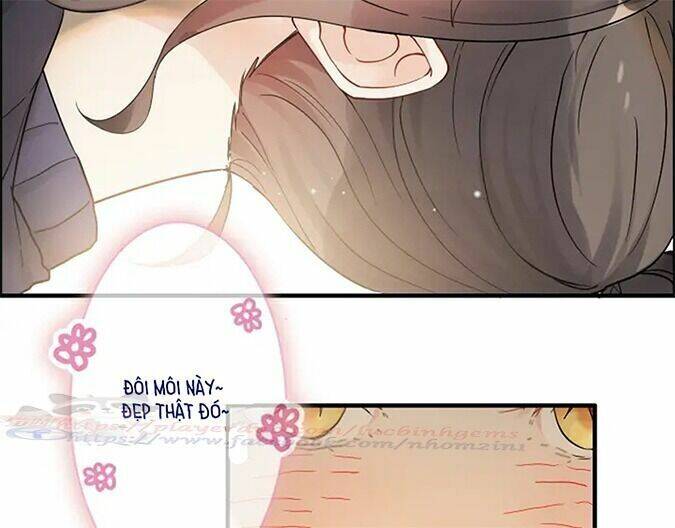 Cô Vợ Hợp Đồng Bỏ Trốn Của Tổng Giám Đốc Chapter 317 - 11