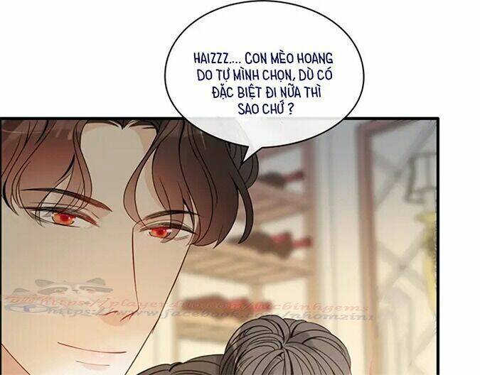 Cô Vợ Hợp Đồng Bỏ Trốn Của Tổng Giám Đốc Chapter 317 - 28