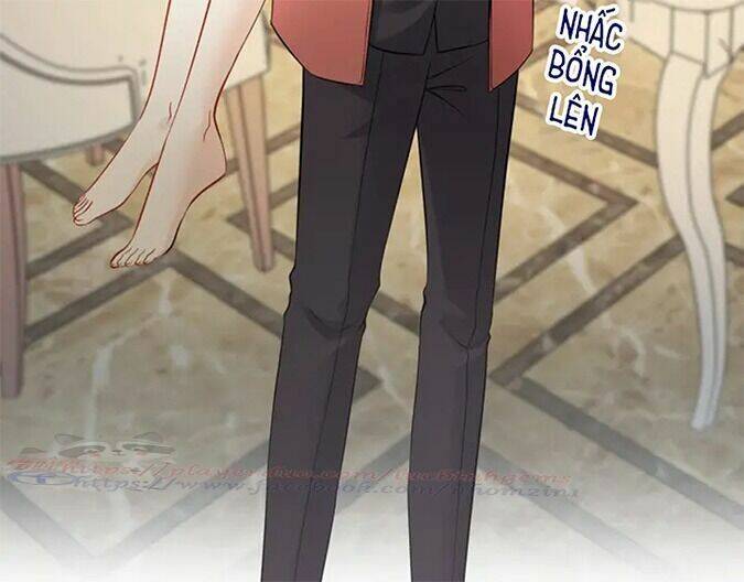 Cô Vợ Hợp Đồng Bỏ Trốn Của Tổng Giám Đốc Chapter 317 - 31