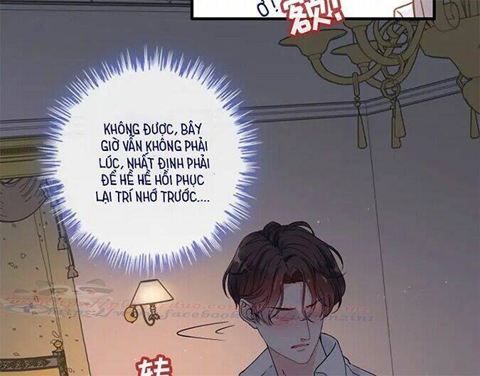 Cô Vợ Hợp Đồng Bỏ Trốn Của Tổng Giám Đốc Chapter 317 - 81