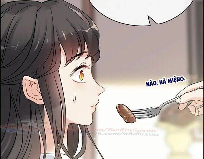 Cô Vợ Hợp Đồng Bỏ Trốn Của Tổng Giám Đốc Chapter 318 - 70