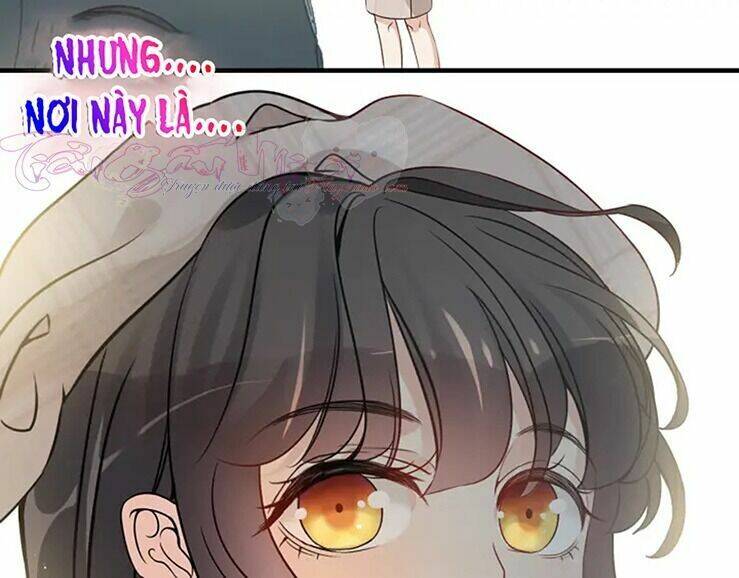 Cô Vợ Hợp Đồng Bỏ Trốn Của Tổng Giám Đốc Chapter 319 - 91