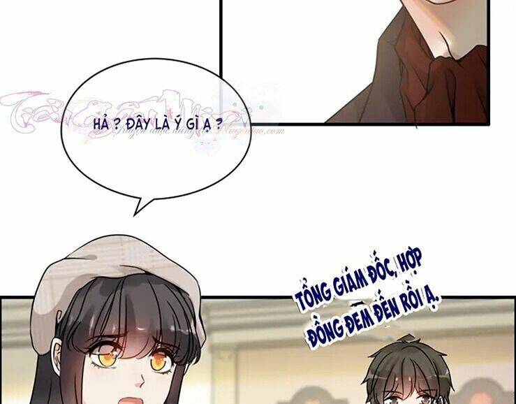 Cô Vợ Hợp Đồng Bỏ Trốn Của Tổng Giám Đốc Chapter 320 - 24