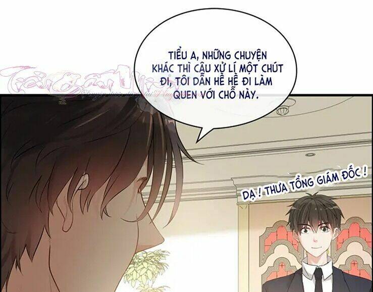 Cô Vợ Hợp Đồng Bỏ Trốn Của Tổng Giám Đốc Chapter 320 - 43