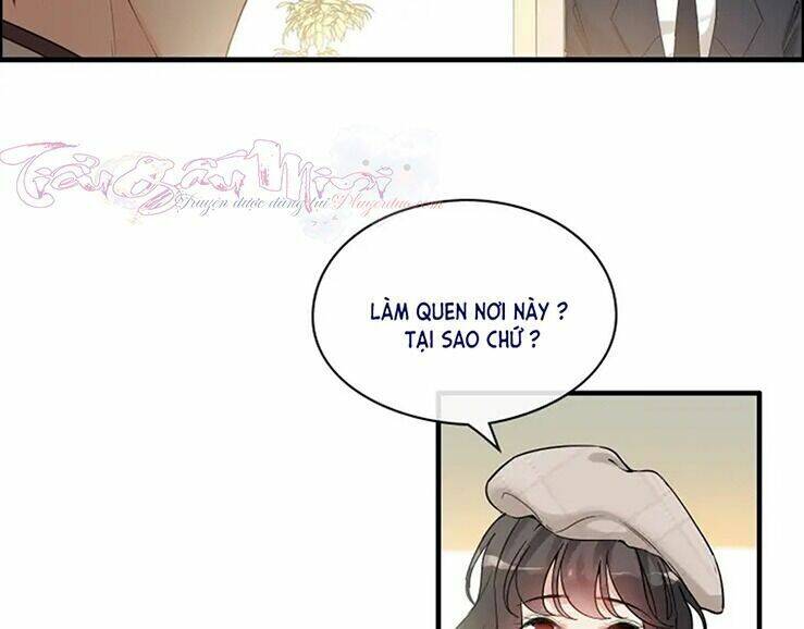 Cô Vợ Hợp Đồng Bỏ Trốn Của Tổng Giám Đốc Chapter 320 - 44