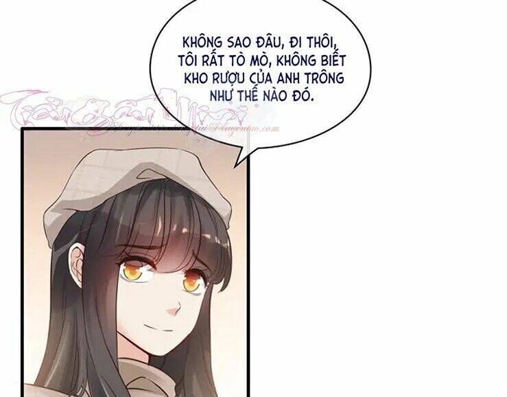 Cô Vợ Hợp Đồng Bỏ Trốn Của Tổng Giám Đốc Chapter 320 - 69