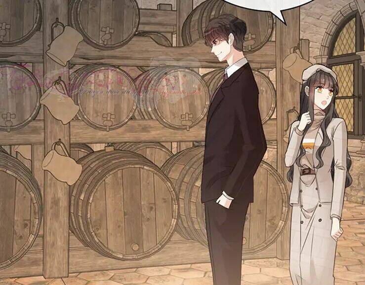 Cô Vợ Hợp Đồng Bỏ Trốn Của Tổng Giám Đốc Chapter 320 - 76