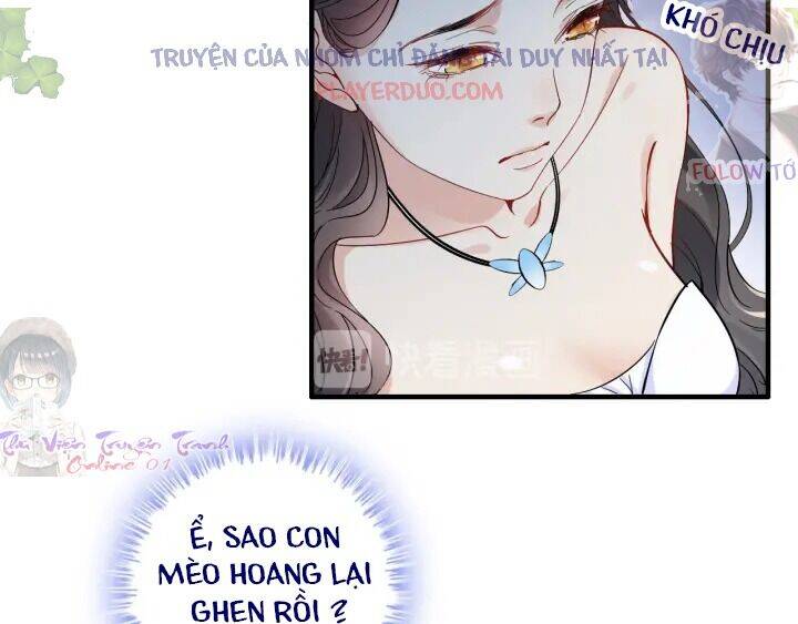 Cô Vợ Hợp Đồng Bỏ Trốn Của Tổng Giám Đốc Chapter 323 - 24