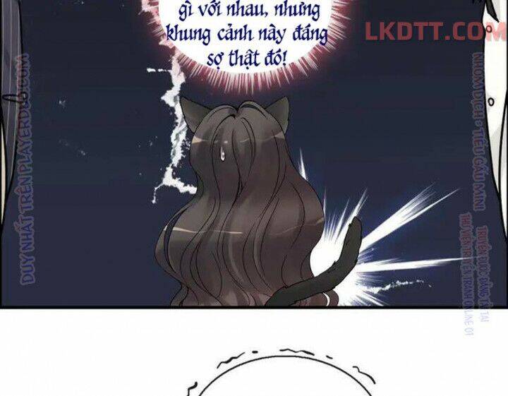 Cô Vợ Hợp Đồng Bỏ Trốn Của Tổng Giám Đốc Chapter 331 - 11