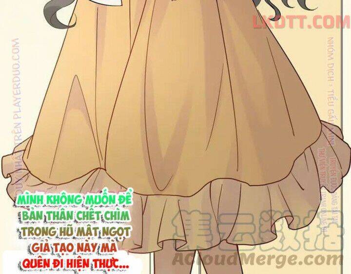 Cô Vợ Hợp Đồng Bỏ Trốn Của Tổng Giám Đốc Chapter 331 - 45