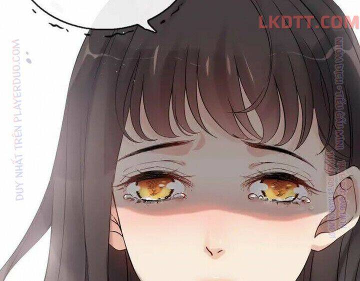 Cô Vợ Hợp Đồng Bỏ Trốn Của Tổng Giám Đốc Chapter 331 - 85