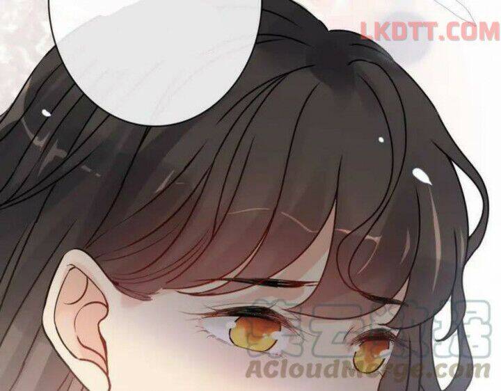 Cô Vợ Hợp Đồng Bỏ Trốn Của Tổng Giám Đốc Chapter 332 - 93