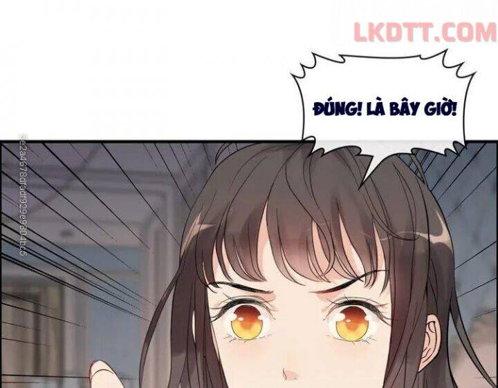 Cô Vợ Hợp Đồng Bỏ Trốn Của Tổng Giám Đốc Chapter 333 - 73