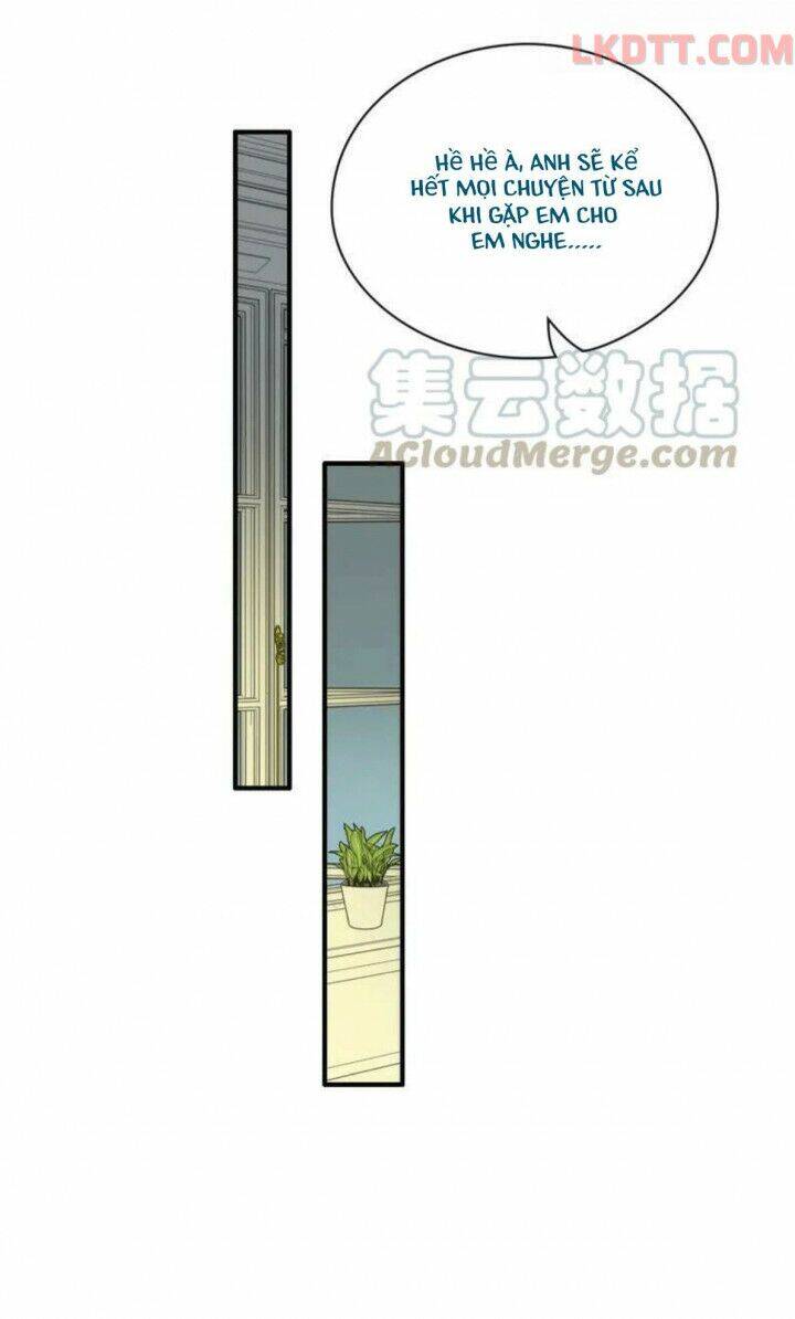 Cô Vợ Hợp Đồng Bỏ Trốn Của Tổng Giám Đốc Chapter 334 - 19