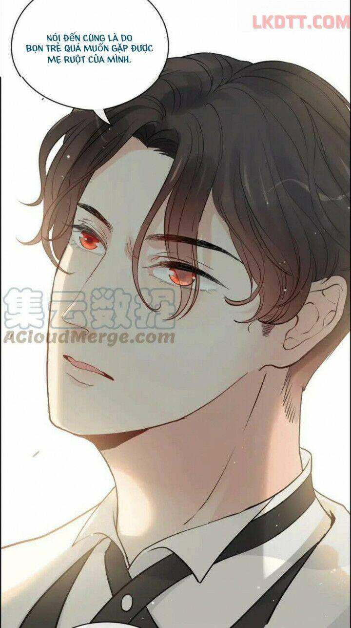 Cô Vợ Hợp Đồng Bỏ Trốn Của Tổng Giám Đốc Chapter 334 - 22