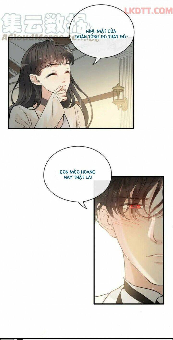 Cô Vợ Hợp Đồng Bỏ Trốn Của Tổng Giám Đốc Chapter 334 - 32