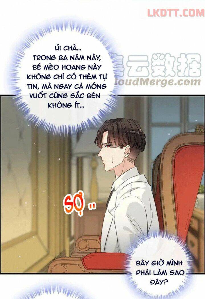 Cô Vợ Hợp Đồng Bỏ Trốn Của Tổng Giám Đốc Chapter 334 - 5