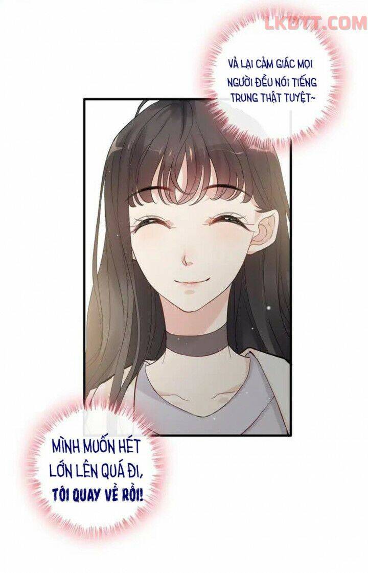 Cô Vợ Hợp Đồng Bỏ Trốn Của Tổng Giám Đốc Chapter 335 - 23