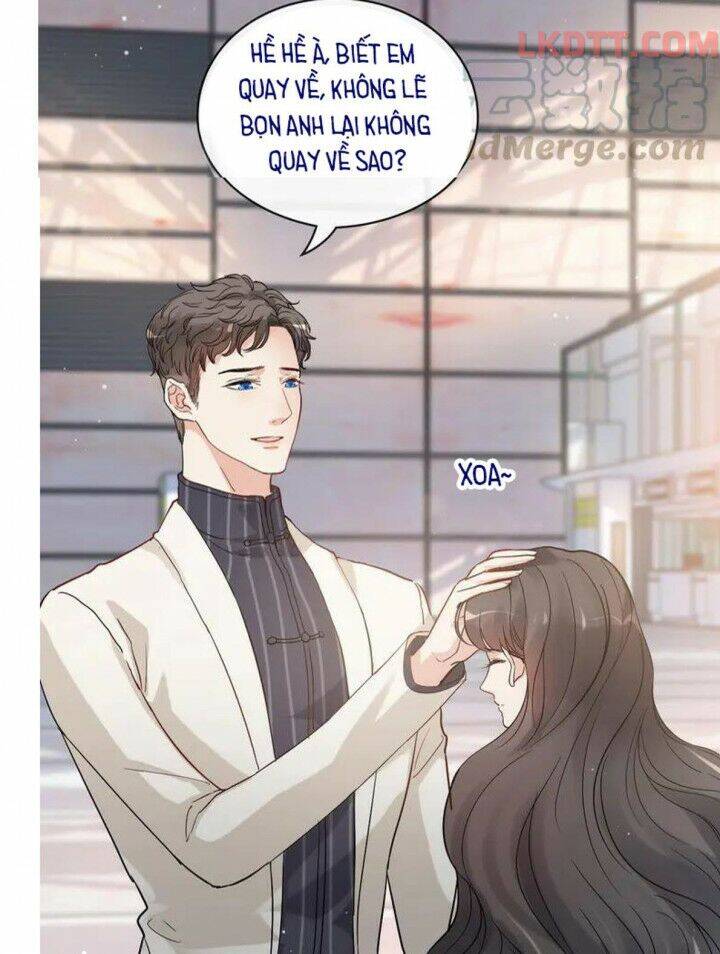 Cô Vợ Hợp Đồng Bỏ Trốn Của Tổng Giám Đốc Chapter 335 - 34