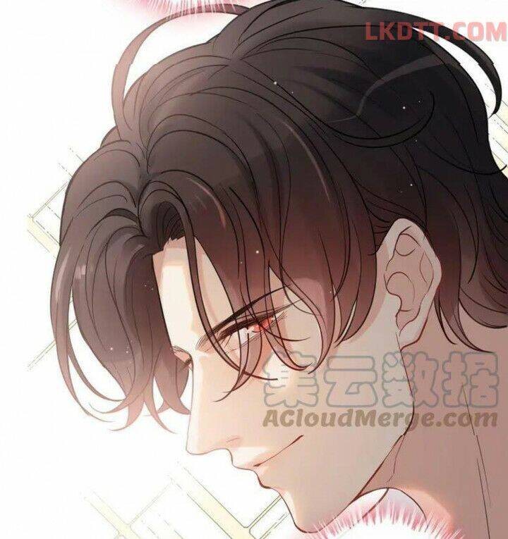 Cô Vợ Hợp Đồng Bỏ Trốn Của Tổng Giám Đốc Chapter 335 - 43