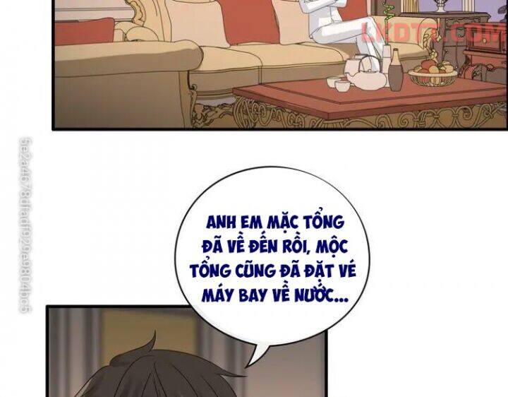 Cô Vợ Hợp Đồng Bỏ Trốn Của Tổng Giám Đốc Chapter 336 - 35