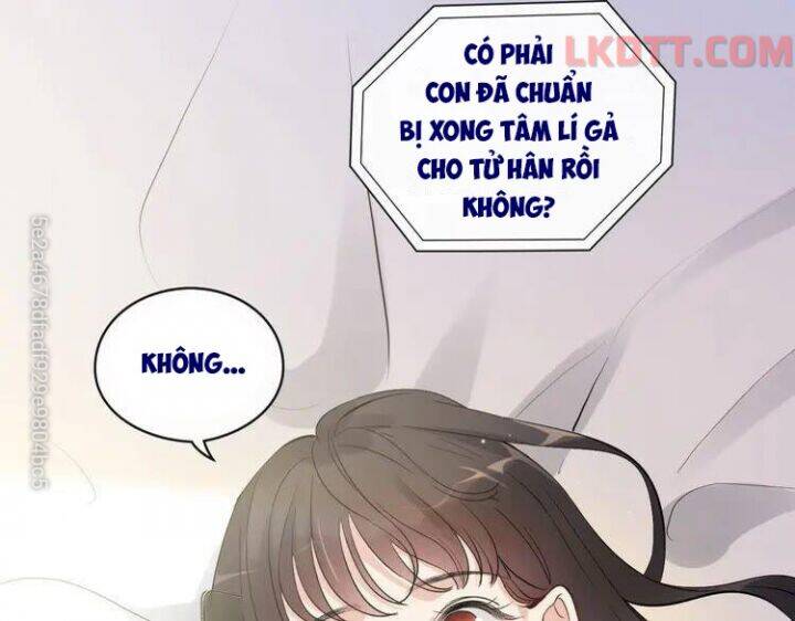 Cô Vợ Hợp Đồng Bỏ Trốn Của Tổng Giám Đốc Chapter 336 - 9