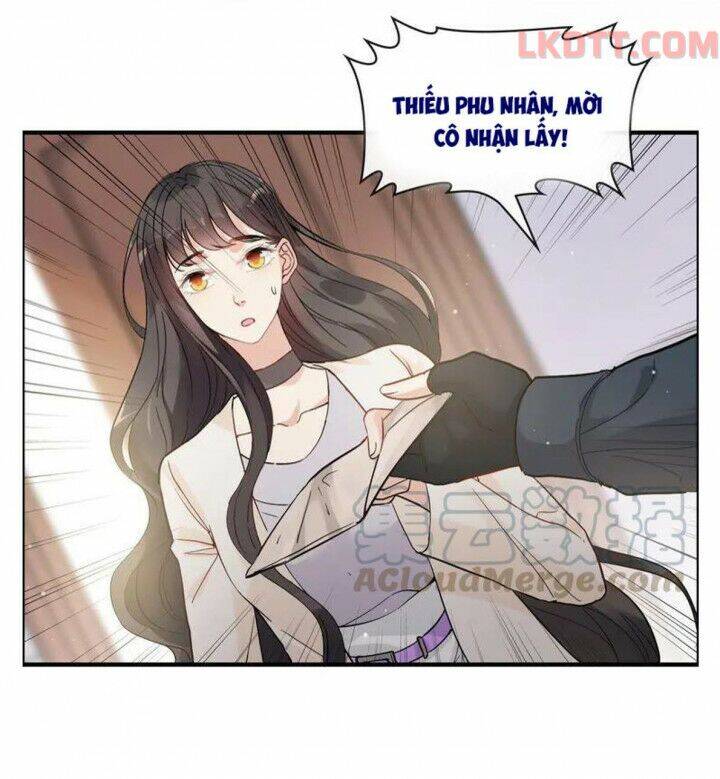 Cô Vợ Hợp Đồng Bỏ Trốn Của Tổng Giám Đốc Chapter 337 - 11