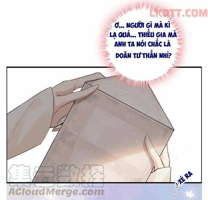 Cô Vợ Hợp Đồng Bỏ Trốn Của Tổng Giám Đốc Chapter 337 - 13