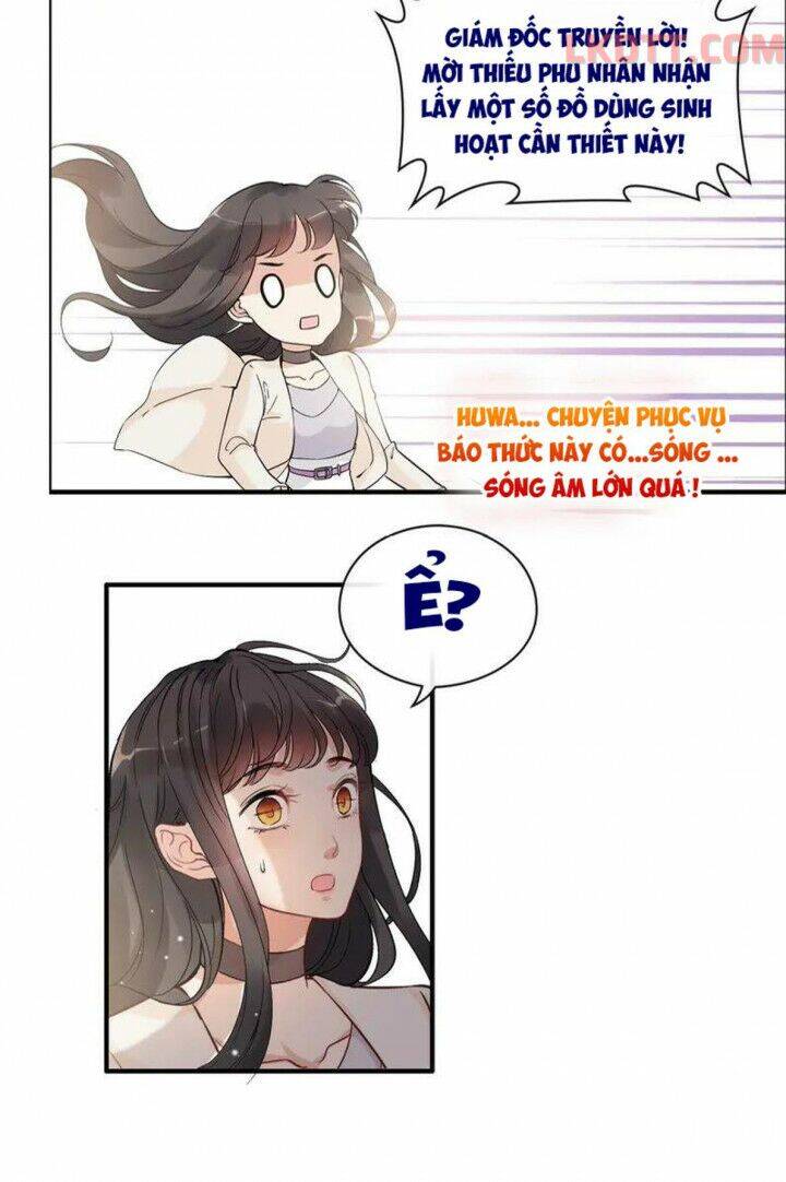 Cô Vợ Hợp Đồng Bỏ Trốn Của Tổng Giám Đốc Chapter 337 - 8