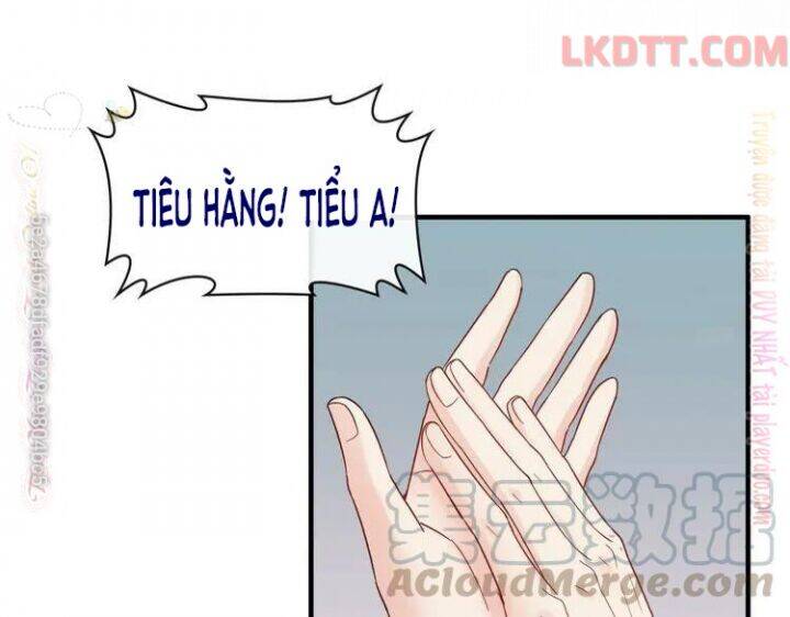 Cô Vợ Hợp Đồng Bỏ Trốn Của Tổng Giám Đốc Chapter 338 - 34