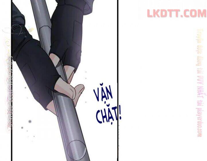 Cô Vợ Hợp Đồng Bỏ Trốn Của Tổng Giám Đốc Chapter 338 - 37