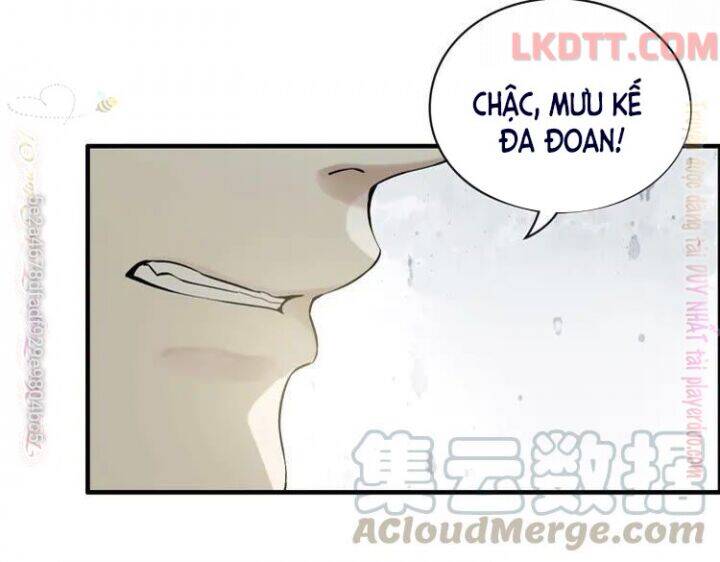 Cô Vợ Hợp Đồng Bỏ Trốn Của Tổng Giám Đốc Chapter 339 - 12