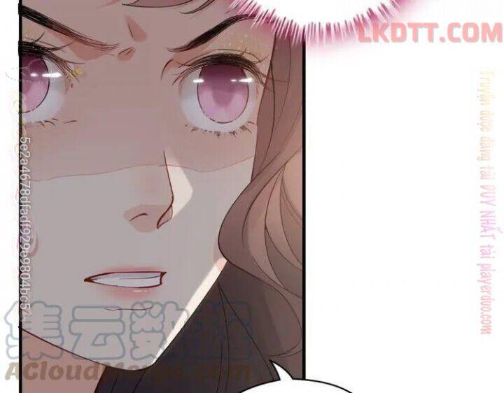 Cô Vợ Hợp Đồng Bỏ Trốn Của Tổng Giám Đốc Chapter 340 - 75