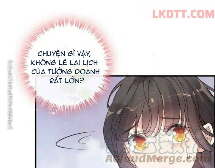 Cô Vợ Hợp Đồng Bỏ Trốn Của Tổng Giám Đốc Chapter 342 - 11